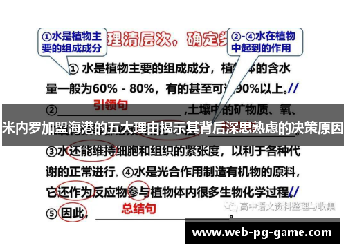 米内罗加盟海港的五大理由揭示其背后深思熟虑的决策原因 米内罗加盟海港的五大理由揭示其背后深思熟虑的决策原因