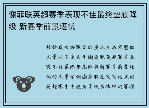 谢菲联英超赛季表现不佳最终垫底降级 新赛季前景堪忧 谢菲联英超赛季表现不佳最终垫底降级 新赛季前景堪忧