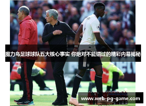 魔力鸟足球球队五大核心事实 你绝对不能错过的精彩内幕揭秘 魔力鸟足球球队五大核心事实 你绝对不能错过的精彩内幕揭秘